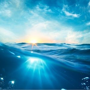 Meet your Posher, Reef